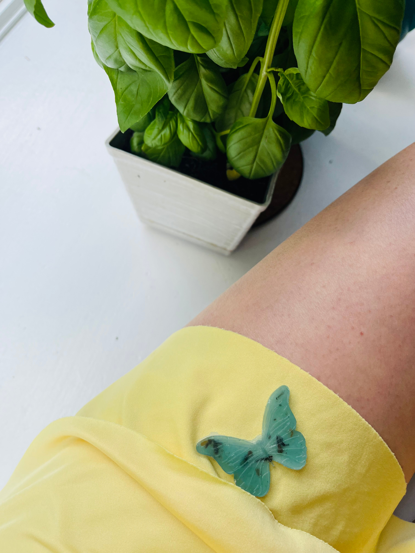 Butterfly soap — For the transformation into freedom